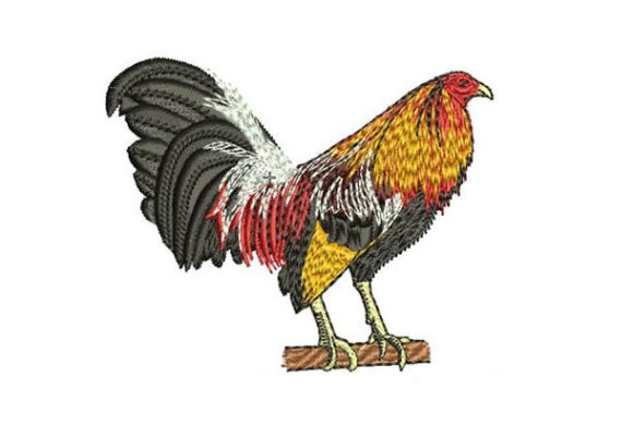Majestic Rooster: A Designer's Review for Real Projects
